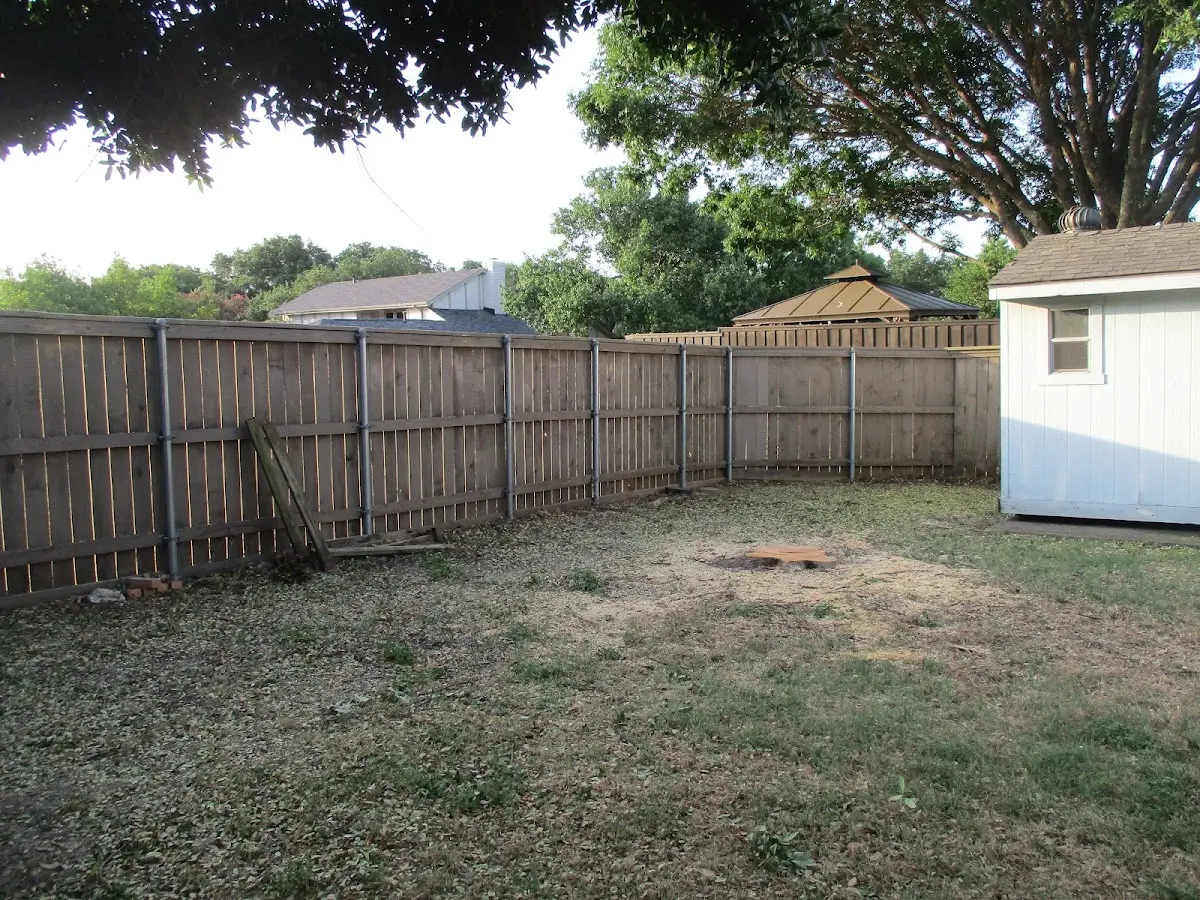 Cleared yard after professional tree removal in Hopeton